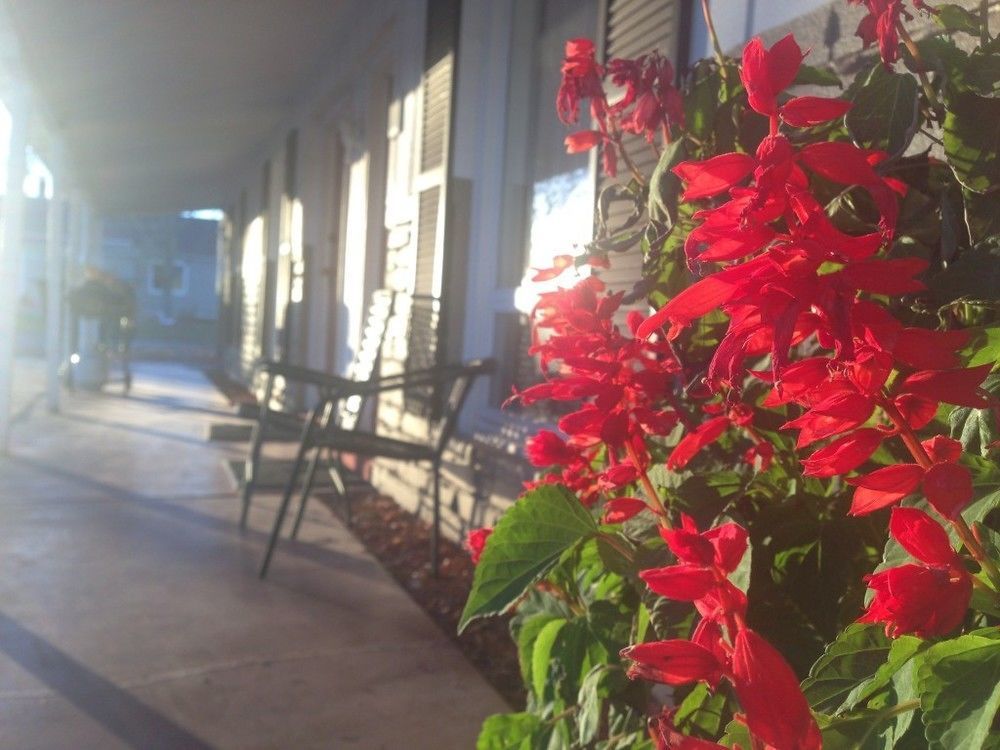 Schuyler Inn Exterior foto